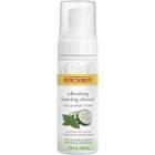 Burt's Bees Refreshing Foaming Face Cleanser