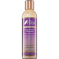 The Mane Choice Ancient Egyptian Anti-breakage & Repair Antidote Shampoo
