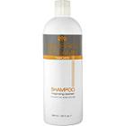 Frederick Benjamin Invigorating Shampoo For Normal To Dry Scalp And Hair