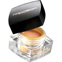 Napoleon Perdis The One Concealer