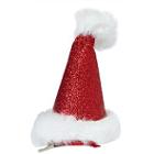 Riviera Santa Hat Clip