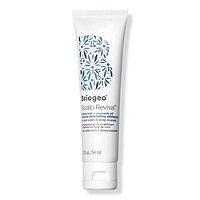 Briogeo Travel Size Scalp Revival Charcoal + Coconut Oil Micro-exfoliating Shampoo