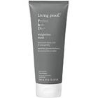 Living Proof Perfect Hair Day (phd) Weightless Mask