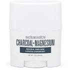 Schmidts Travel Size Charcoal + Magnesium Deodorant Stick
