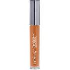 Ulta Beauty Collection Youthful Glow Concealer