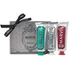 Marvis Travel With Flavor Set