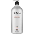 Kenra Professional Frizz Control Conditioner