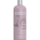 Abba Pure Volume Shampoo