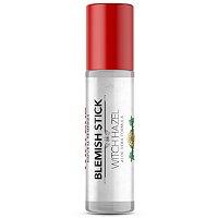 Thayers Lemon Blemish Stick