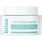 Bliss Mint Chip Mania Mask