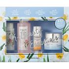 Mamonde Floral Energy Discovery Set