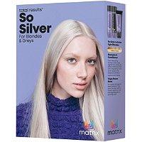 Matrix Total Results So Silver Trio Kit