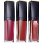 Estee Lauder Pure Color Envy Paint-on Liquid Lipcolor Set