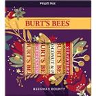 Burt's Bees Beeswax Bounty Fruit Mix Gift Set