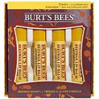 Burt's Bees Bees Wax Bounty Classic