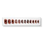 Static Nails Tortoise Shell Round Reusable Pop-on Manicure