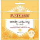 Burt's Bees Lip Treatment Lip Mask