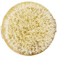 Ecotools Dry Body Brush