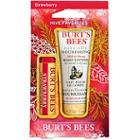 Burt's Bees Hive Favorites Strawberry Holiday Gift Set