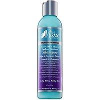 The Mane Choice Tropical Moringa Sweet Oil & Honey Endless Moisture Shampoo