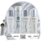 Biosilk Strength And Shine On The Go Styling Kit