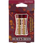 Burt's Bees Kissable Colors Warm Collection