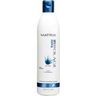 Matrix Biolage Styling Gel?e