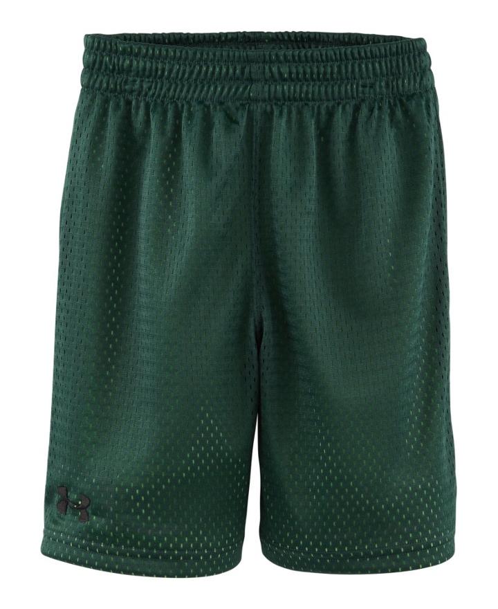 Under Armour Boys' Toddler Ua Renegade Mesh Shorts
