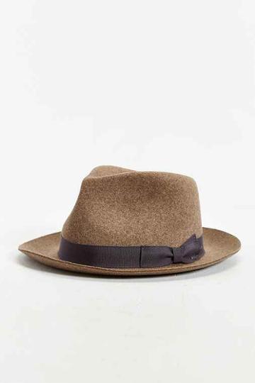bailey Of Hollywood Bertram Fedora Hat,brown,m
