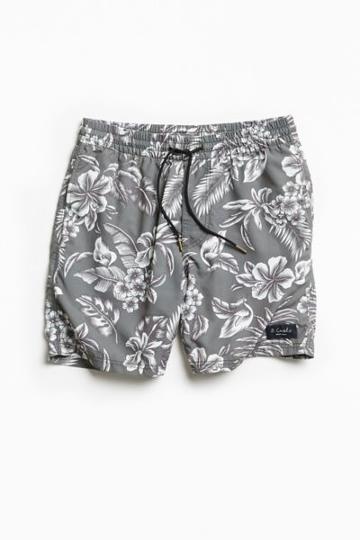 Barney Cools Fern Boardshort