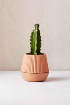 Urban Outfitters Umbra Shift Pleated Planter + Drainage Tray Set,rust,one Size
