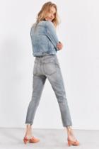 Agolde Riley High-rise Cropped Jean  Vanished