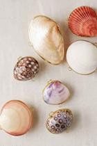 Urban Outfitters Shell Trinket Box,assorted,one Size
