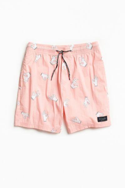 Barney Cools Poolside 17 Pink Hands Swim Short