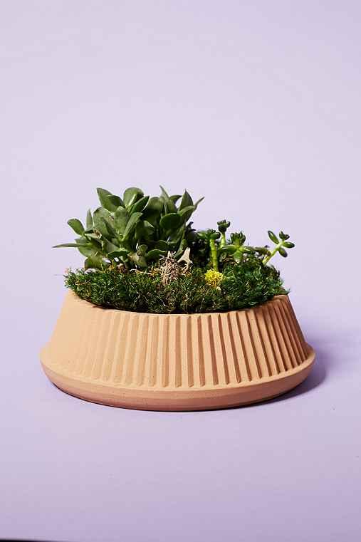 Urban Outfitters Umbra Shift Pleated Succulent Planter,rust,one Size
