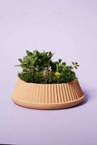 Urban Outfitters Umbra Shift Pleated Succulent Planter,rust,one Size
