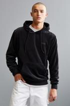 Urban Outfitters Adidas Velour Hoodie Sweatshirt