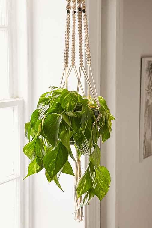 Urban Outfitters Iris Macrame Hanging Planter,natural,one Size