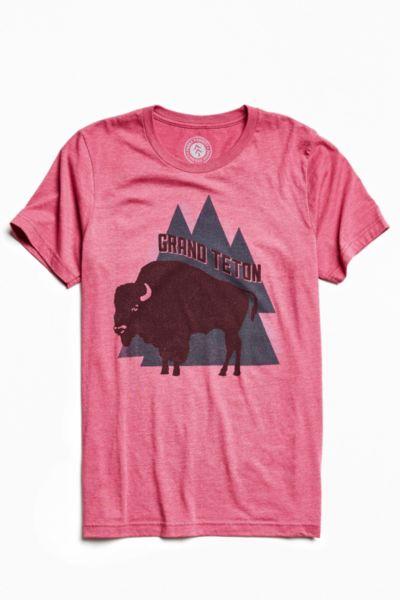 Urban Outfitters Parks Project Grand Teton Buffalo Tee