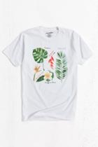 Urban Outfitters Leaf Diagram Tee