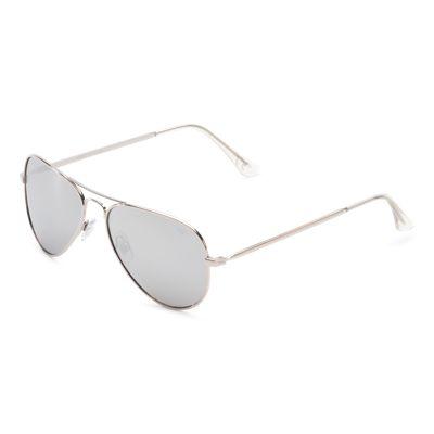Vans Apprehend Aviator Sunglasses (silver)