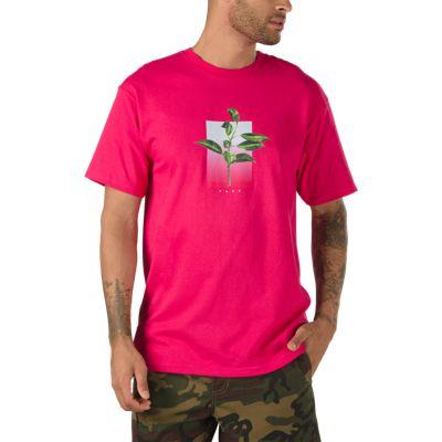Vans Og Rubber Co. T-shirt (jazzy)