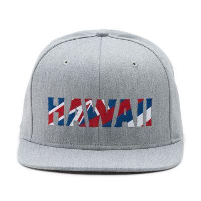 Vans Hawaii Flagged Snapback Hat (heather Grey)
