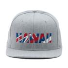 Vans Hawaii Flagged Snapback Hat (heather Grey)