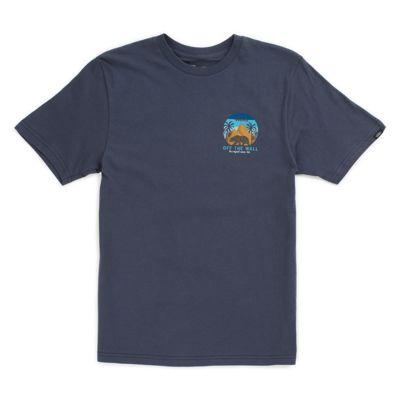 Vans Boys Cali Dreamin T-shirt (navy)