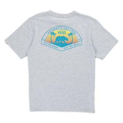 Vans Boys Grizzly Beach T-shirt (athletic Heather)
