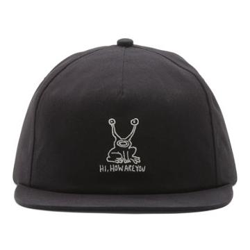 Vans X Daniel Johnston Unstructured Hat (black)