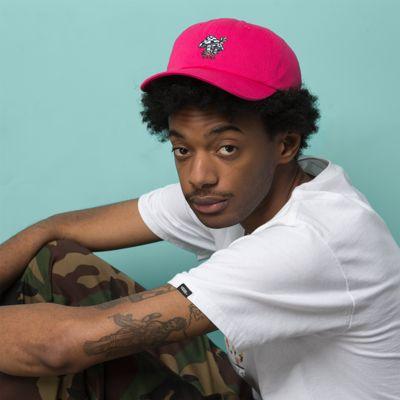 Vans Menlo Curved Bill Jockey Hat (rosebud)
