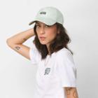 Vans Court Side Printed Hat (celadon Green/water Wash)