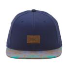 Vans Walmer Snapback Hat (native Stripe)